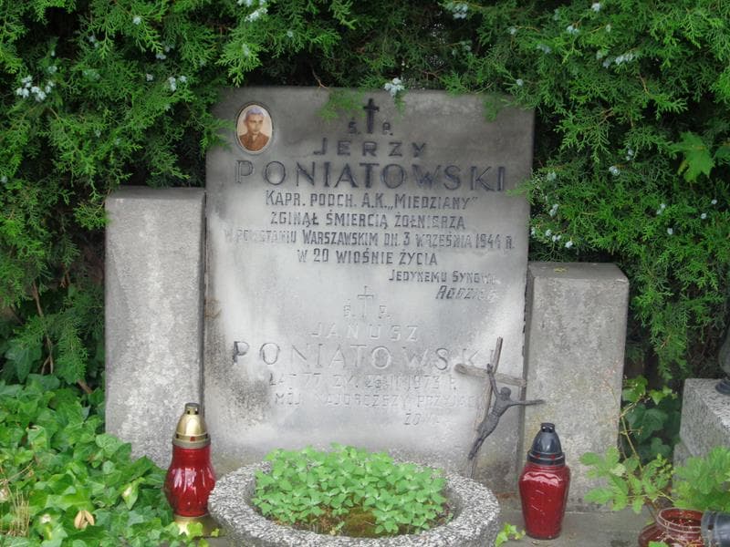 Zdjęcie grobu Janusz Poniatowski (2)