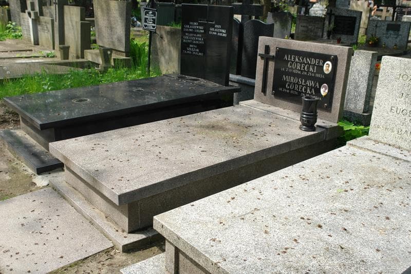 Zdjęcie grobu Aleksander Górecki (1)