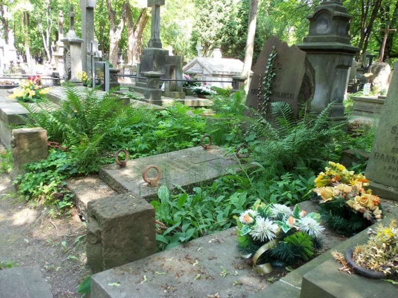 Zdjęcie grobu Teodora Puławska (1)