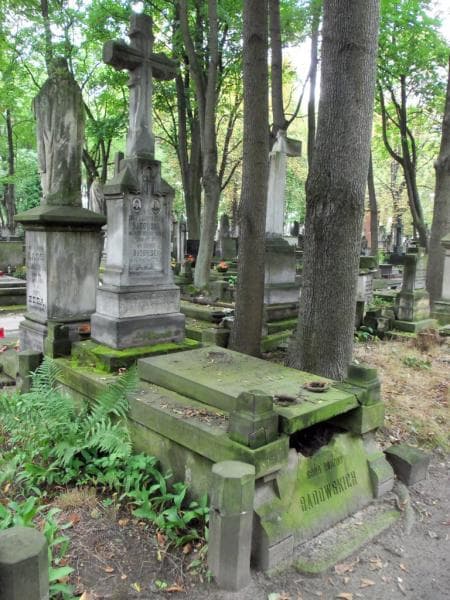 Zdjęcie grobu Zofia Badowska (1)