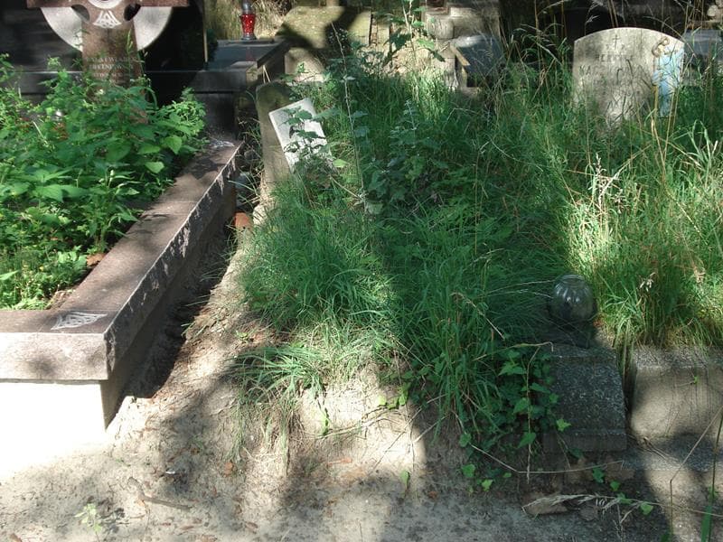 Zdjęcie grobu: Czesława Natalja Jasińska
