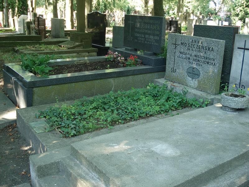 Zdjęcie grobu: Maria Lossow-Niemojewska
