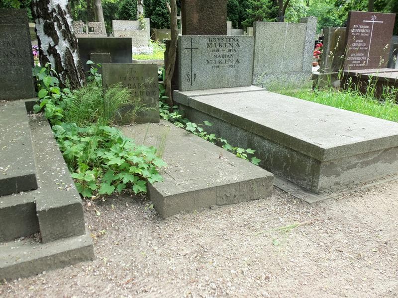Zdjęcie grobu Lucyna Waldow (1)