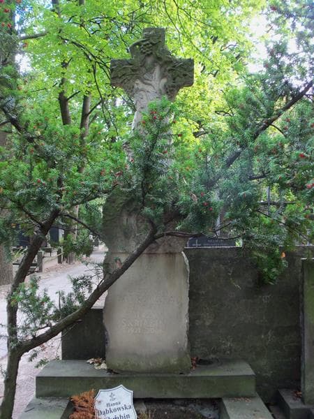Zdjęcie grobu Józef Dąbkowski (2)