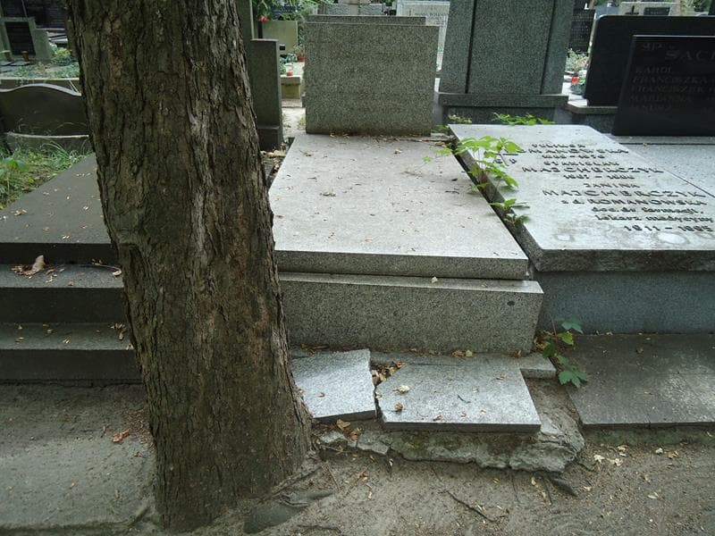 Zdjęcie grobu: Kazimierz Tomczak
