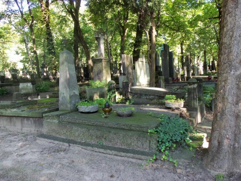 Zdjęcie grobu Jerzy Malinowski (1)