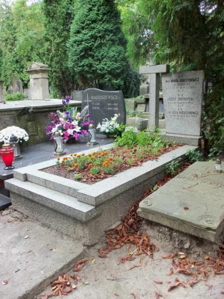 Zdjęcie grobu Lech Augustynowicz (1)