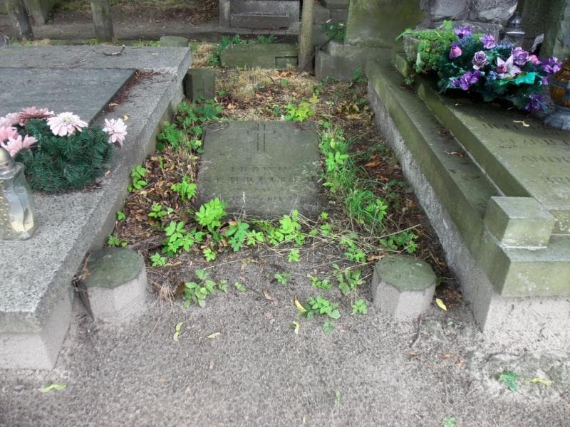 Zdjęcie grobu Ludwik Schreiber (1)