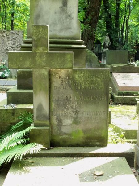 Zdjęcie grobu Tadeusz Batogowski (2)