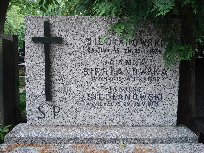 Zdjęcie grobu Joanna Siedlanowska (2)