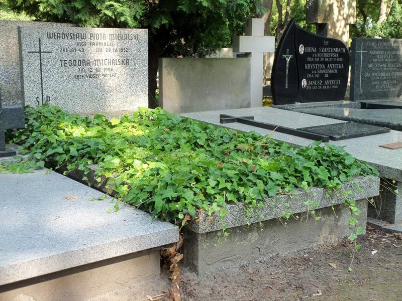 Zdjęcie grobu Teodora Michalska (1)