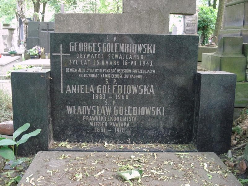 Zdjęcie grobu Aniela Gołębiowska (2)