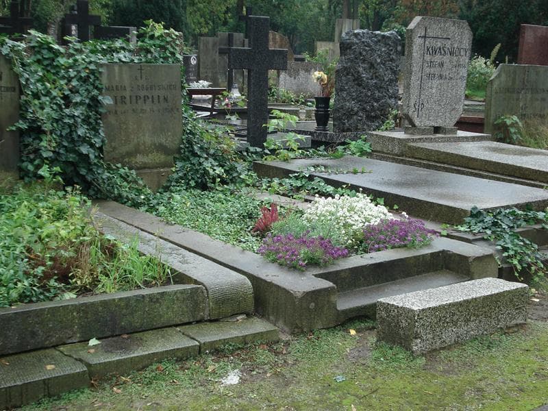 Zdjęcie grobu Maria Tripplin (1)