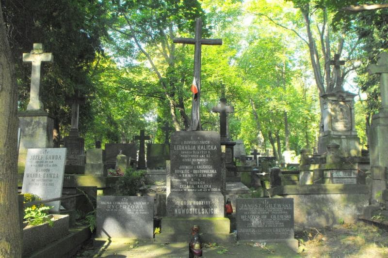 Zdjęcie grobu Nowosielscy (2)