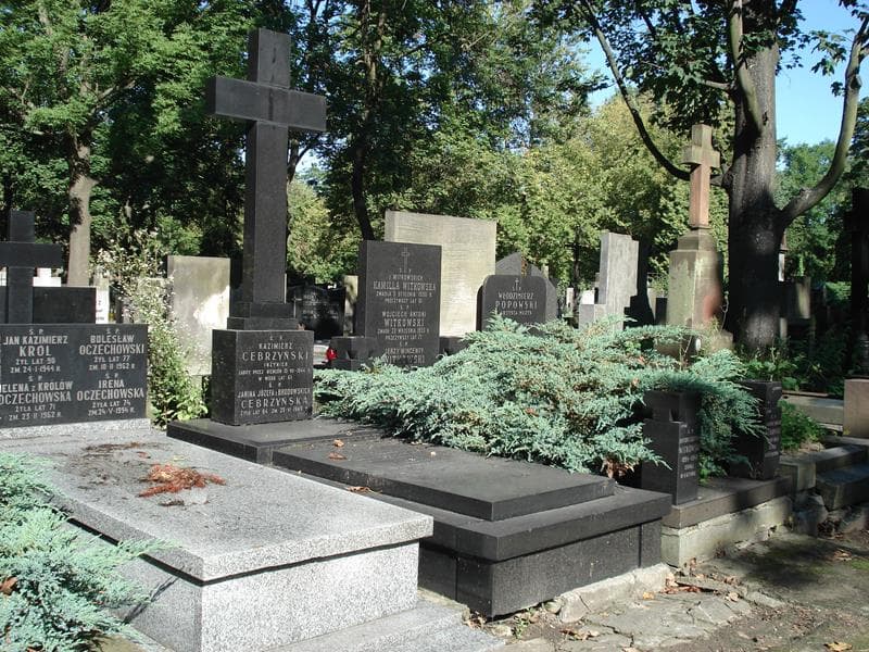 Zdjęcie grobu Kazimierz Cebrzyński (1)