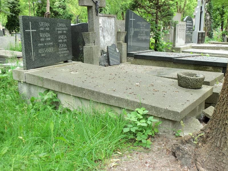 Zdjęcie grobu Stefan Fredro (1)