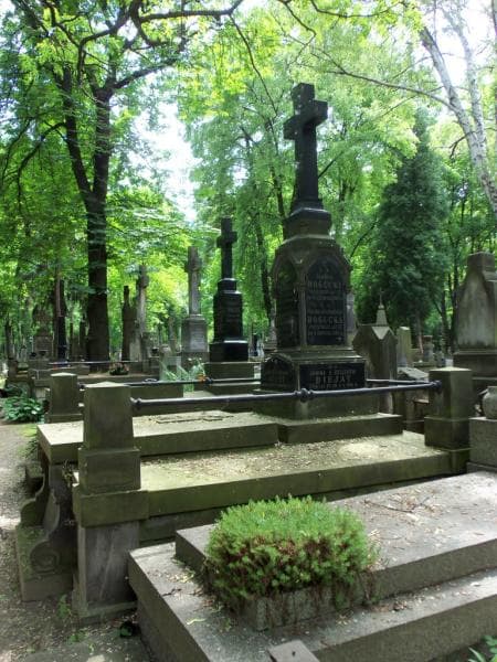 Zdjęcie grobu Janina Biejat (1)