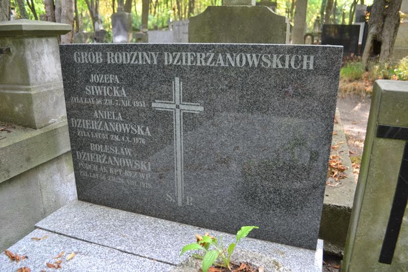 Zdjęcie grobu Bolesław Dzierżanowski (2)