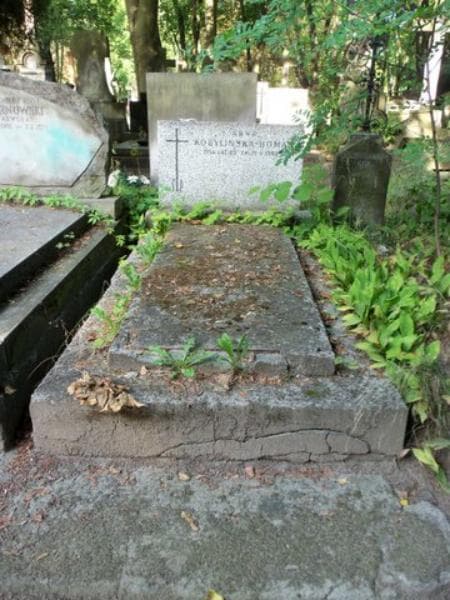 Zdjęcie grobu: Anna Kobylińska-Homan