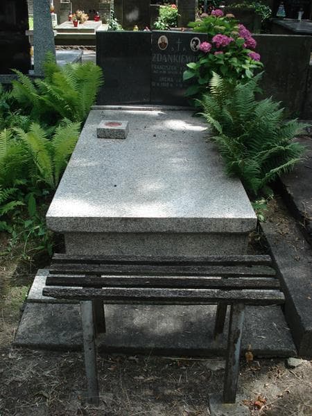 Zdjęcie grobu Franciszek Zdankiewicz (1)