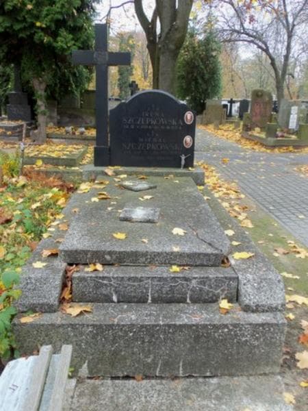 Zdjęcie grobu: Michał Szczepkowski