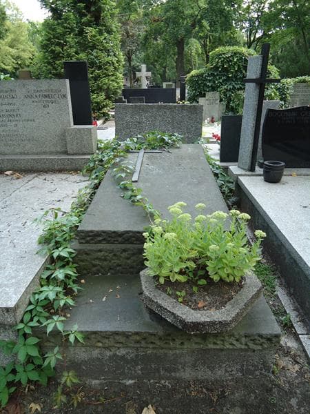 Zdjęcie grobu: Anna Grzybowska