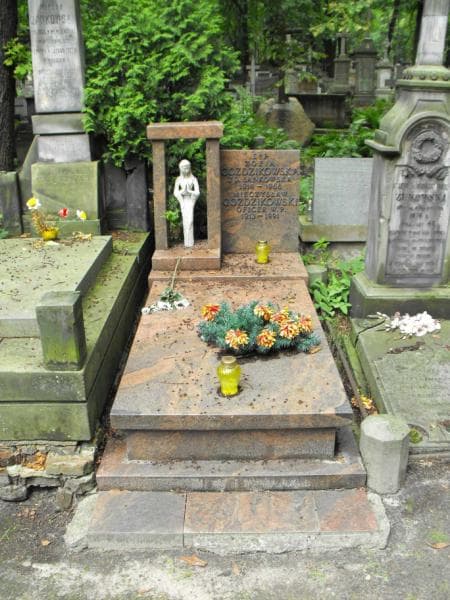 Zdjęcie grobu: Zofia Goździkowska