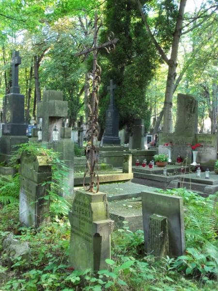 Zdjęcie grobu Aleksander Lipski (1)