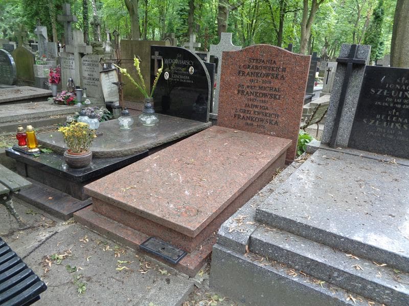 Zdjęcie grobu: Michał Frankowski