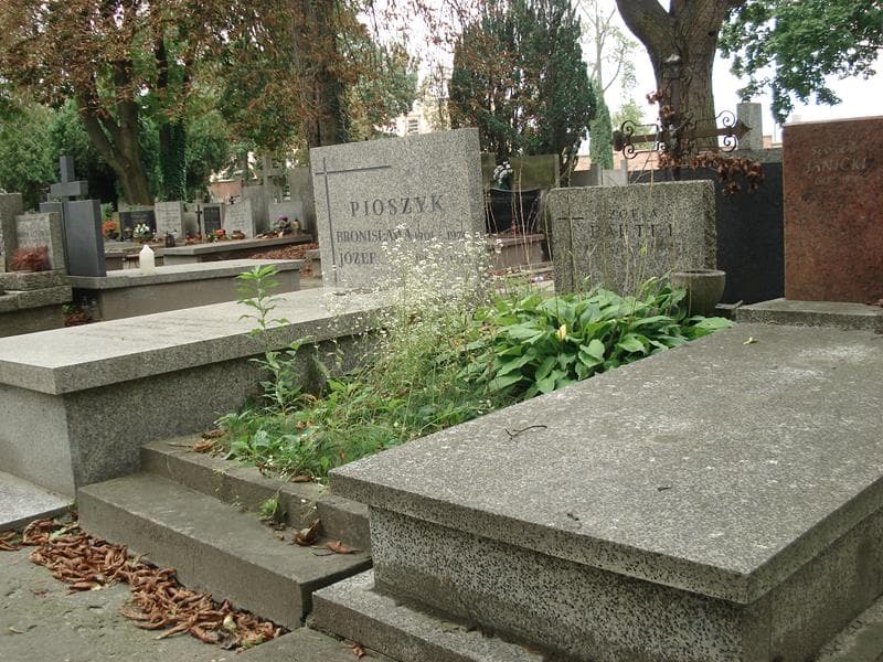 Zdjęcie grobu Zofia Bartel (1)