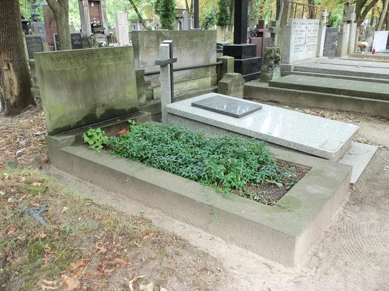 Zdjęcie grobu: Antonina Wachowicz