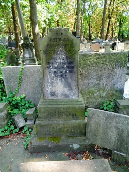 Zdjęcie grobu Irmina Dobrowolska (2)