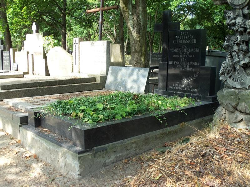 Zdjęcie grobu Helena Cieślińska (1)