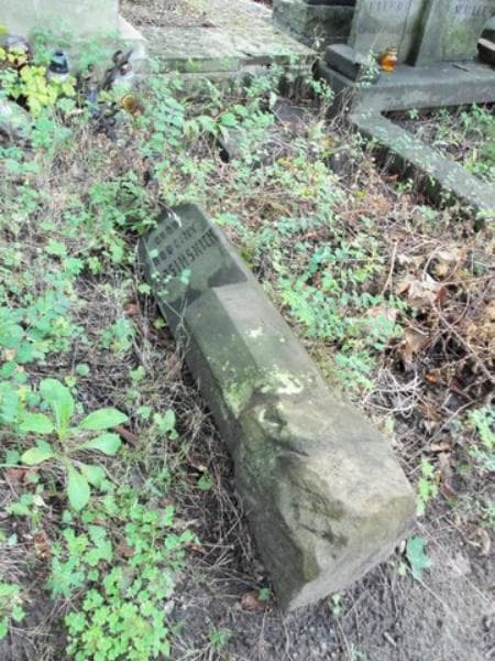 Zdjęcie grobu Kłosińscy (2)