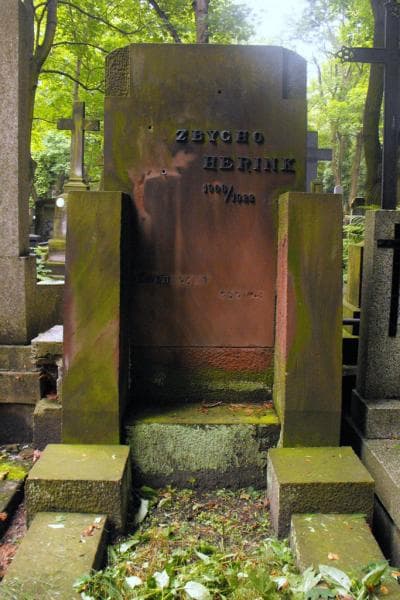 Zdjęcie grobu Zbycho Herink (2)