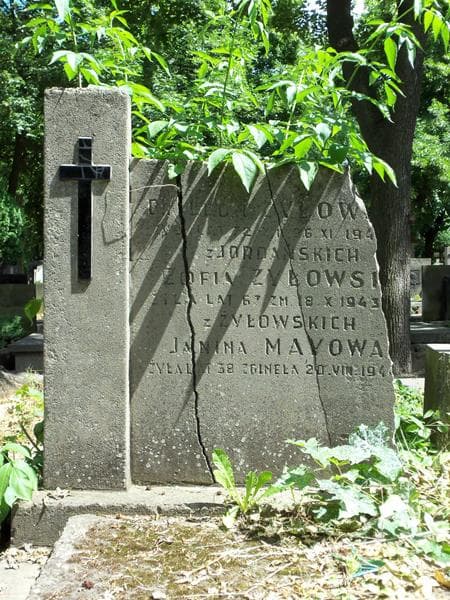 Zdjęcie grobu Leon Żyłowski (2)