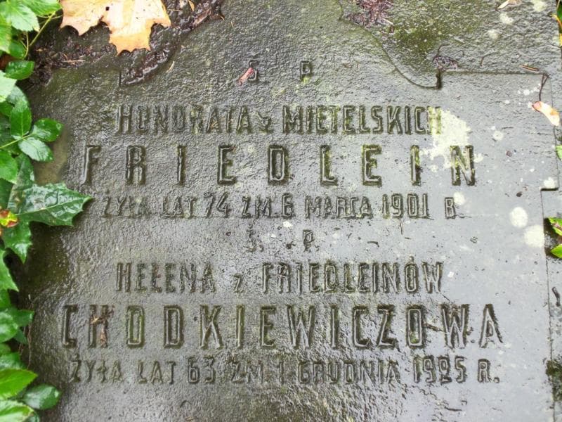 Zdjęcie grobu Honorata Friedlein (2)