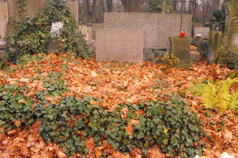 Zdjęcie grobu: Aleksander Wolmer
