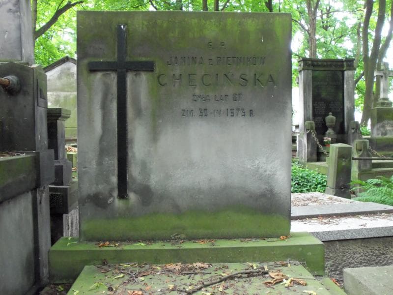 Zdjęcie grobu Eugenia Piętnik (2)