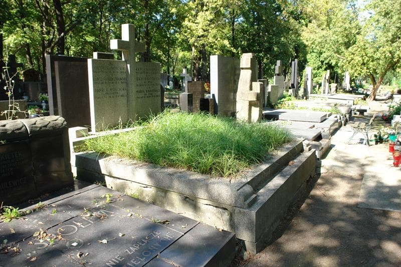 Zdjęcie grobu Jerzy Baniewicz (1)