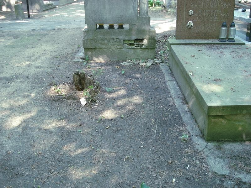 Zdjęcie grobu: Pole Grobowe