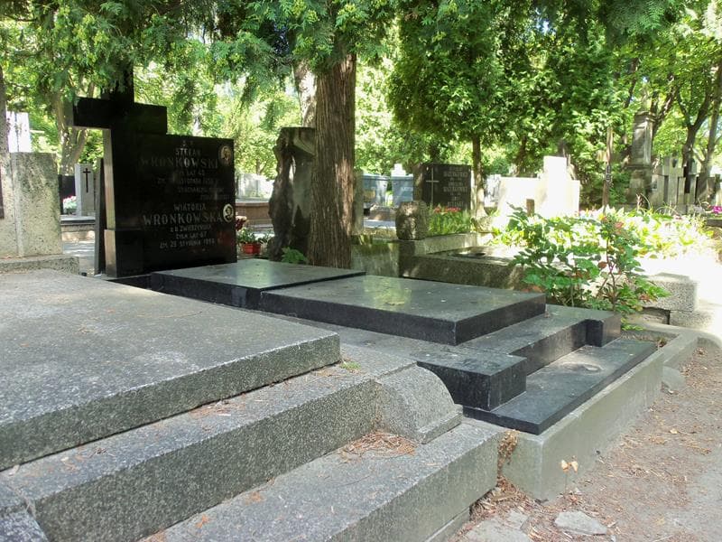 Zdjęcie grobu Stefan Wronkowski (1)