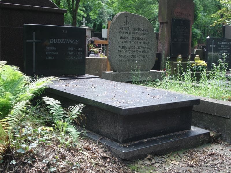 Zdjęcie grobu Jerzy Dudziński (1)