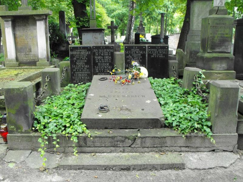 Zdjęcie grobu: Teodor Służewski
