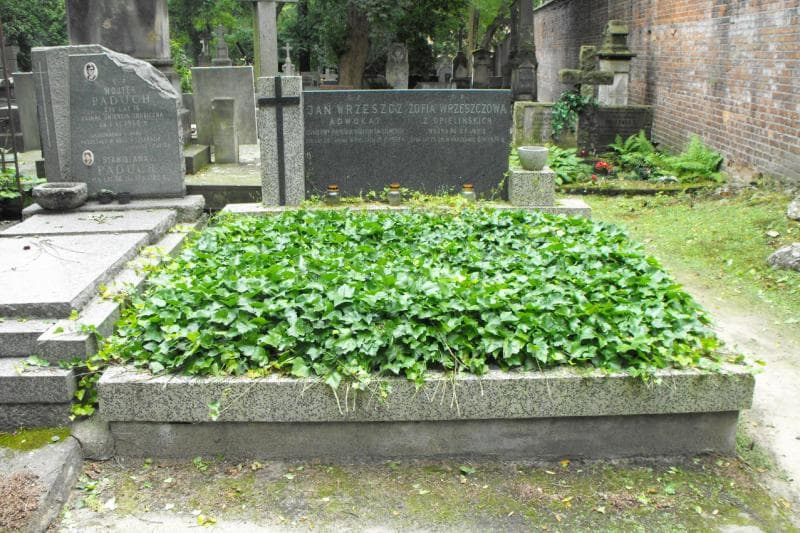 Zdjęcie grobu: Jan Wrzeszcz