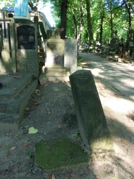 Zdjęcie grobu: Emilie Bovet