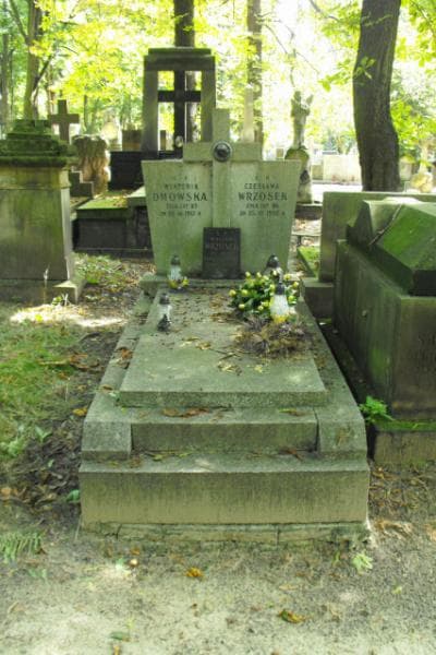 Zdjęcie grobu Wacław Wrzosek (1)