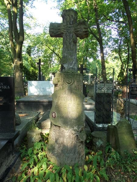 Zdjęcie grobu Zygmunt Albert (2)