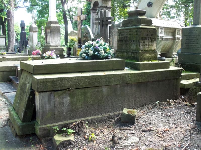 Zdjęcie grobu Anna Strzegowska (1)