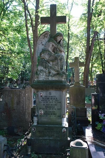 Zdjęcie grobu Franciszek Nałęcz (1)